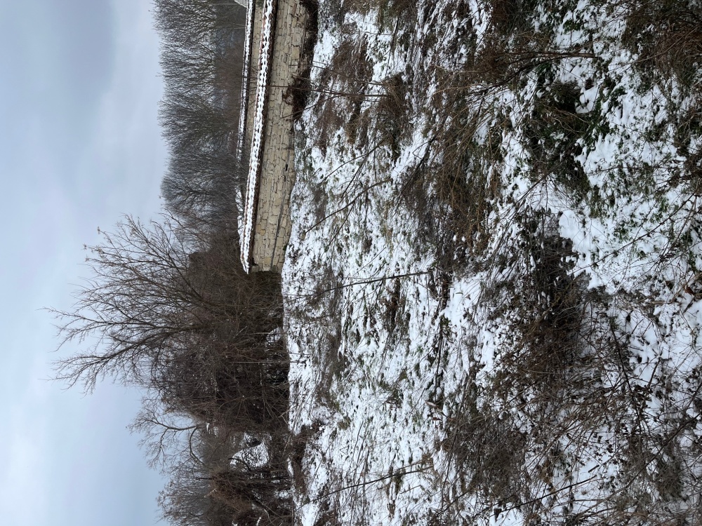 Къща - с. Добрина, Варна – ЧСИ – photo 14