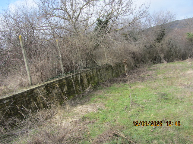 Парцел с къща - с. Медвен, Сливен – photo 3