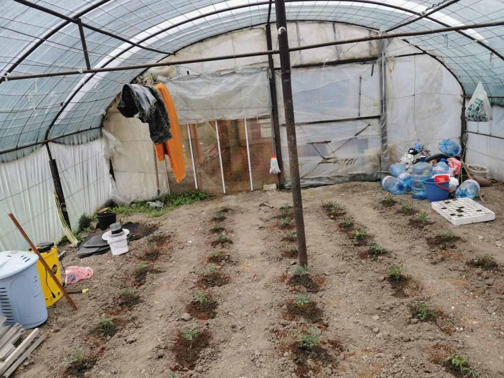 Парцел - с. Първенец, Пловдив – photo 9