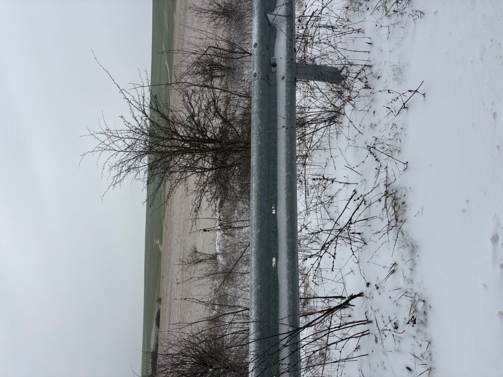 Земеделска земя - с. Климентово, Варна – photo 6