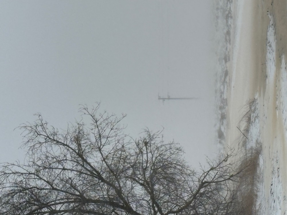 Земеделска земя - с. Климентово, Варна – photo 4