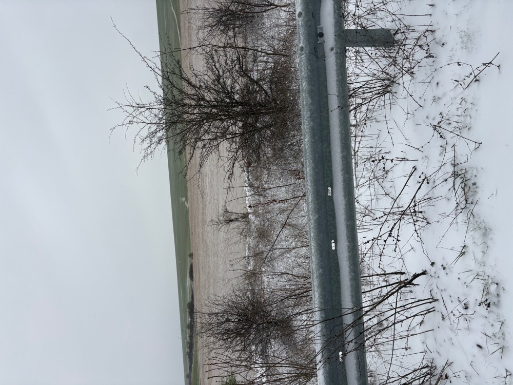 Земеделска земя - с. Климентово, Варна – photo 5