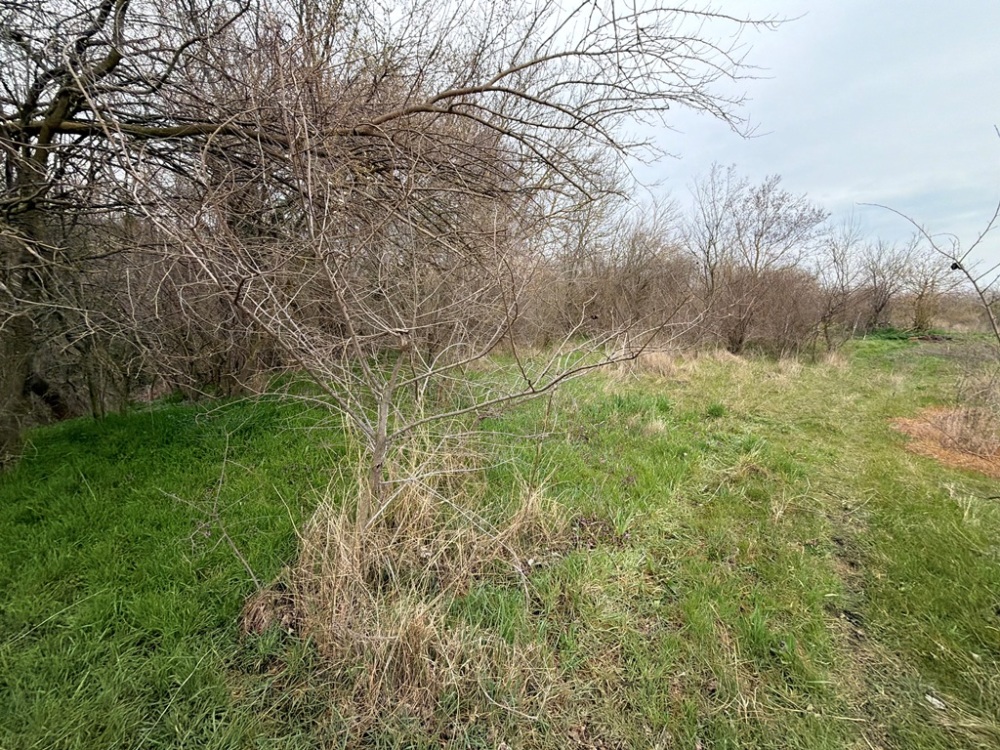 Парцел - с. Винарско, Бургас – photo 2