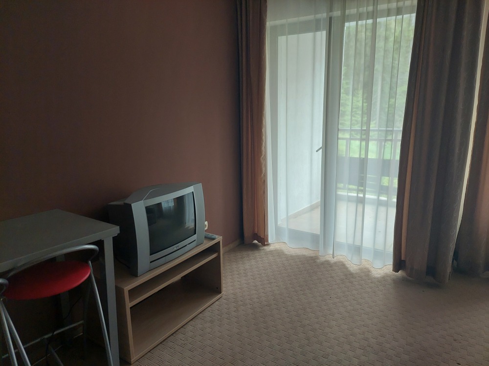 Едностаен апартамент - с. Проглед, Смолян – photo 3