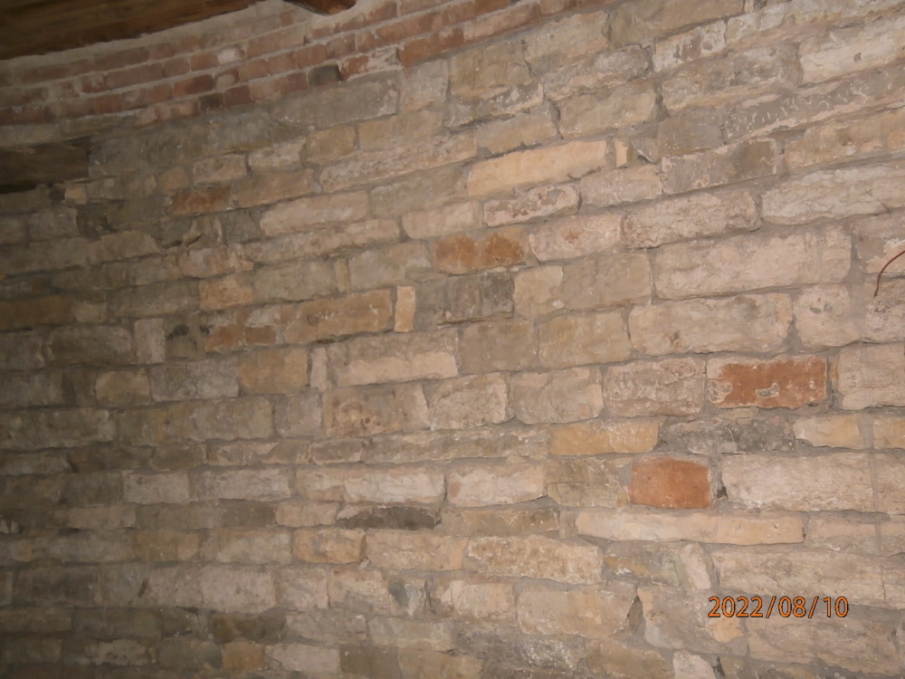 Парцел с къща - с. Чифлик, Видин – photo 13