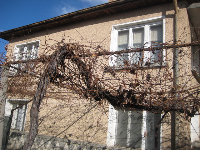 Парцел с къща - с. Драгор, Пазарджик – photo 2