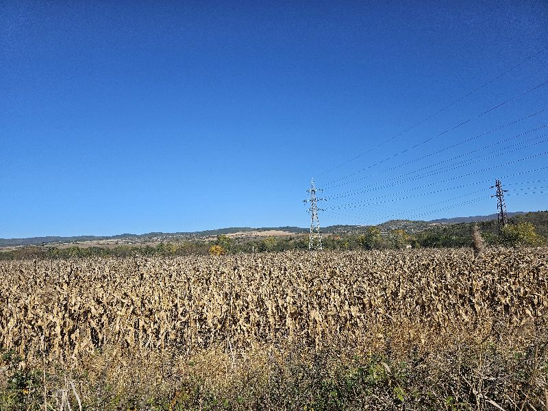 Земеделски имот - с. Горна Василица, София окръг – photo 2