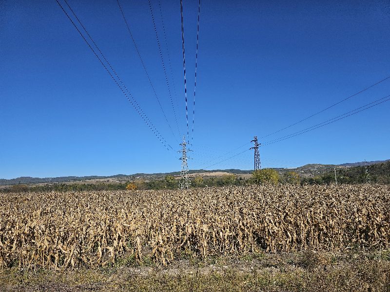 Земеделски имот - с. Горна Василица, София окръг – photo 3