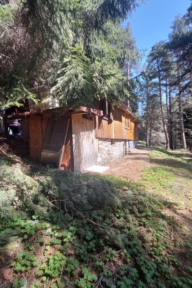 Други - с. Скобелево, Пловдив – photo 4