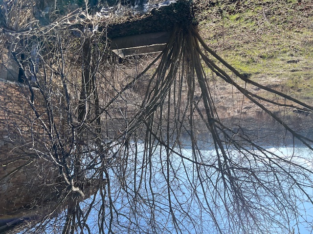 Къща - с. Баниска, Русе – photo 5