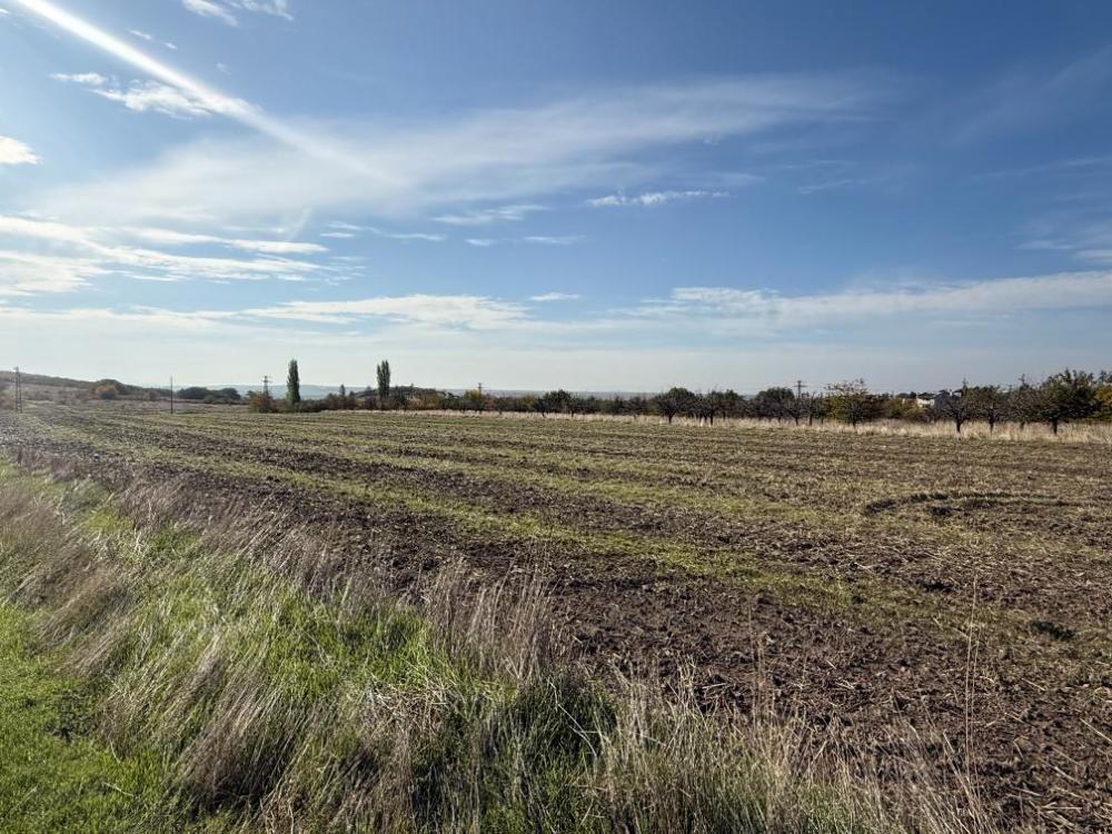 Земеделска земя - гр. Бургас, Бургас – photo 2