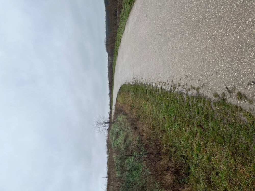 Земеделска земя - с. Казашка река, Варна – photo 9