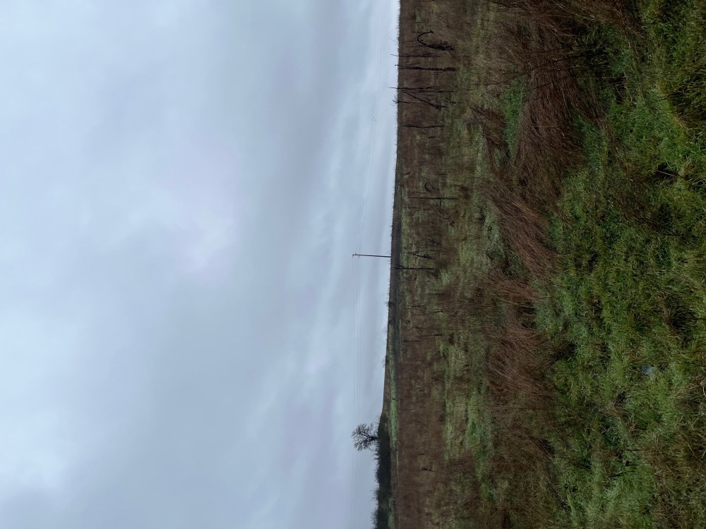 Земеделска земя - с. Казашка река, Варна – photo 5