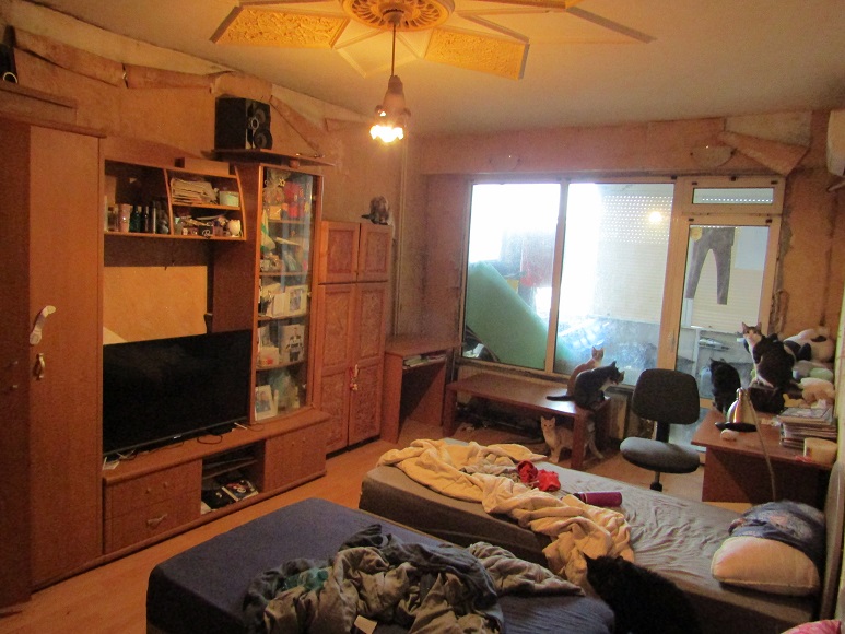 Двустаен апартамент - гр. Плевен, Плевен – photo 4