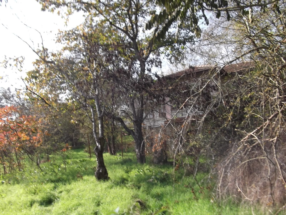 Парцел с къща - с. Градини, Добрич – photo 3