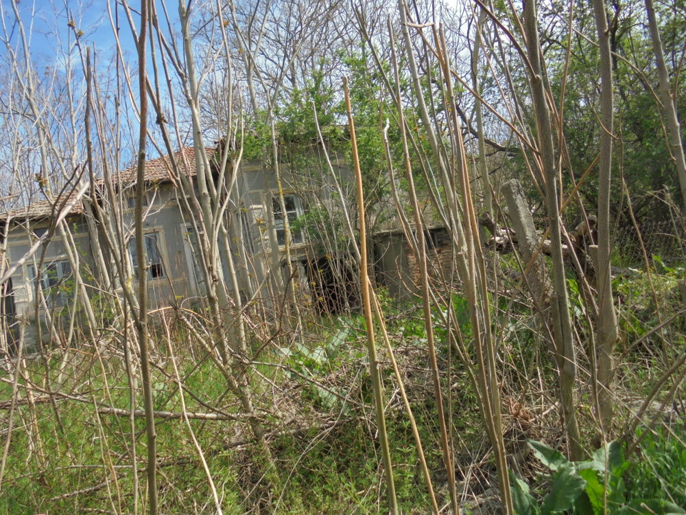 Парцел с къща - с. Градини, Добрич – photo 3