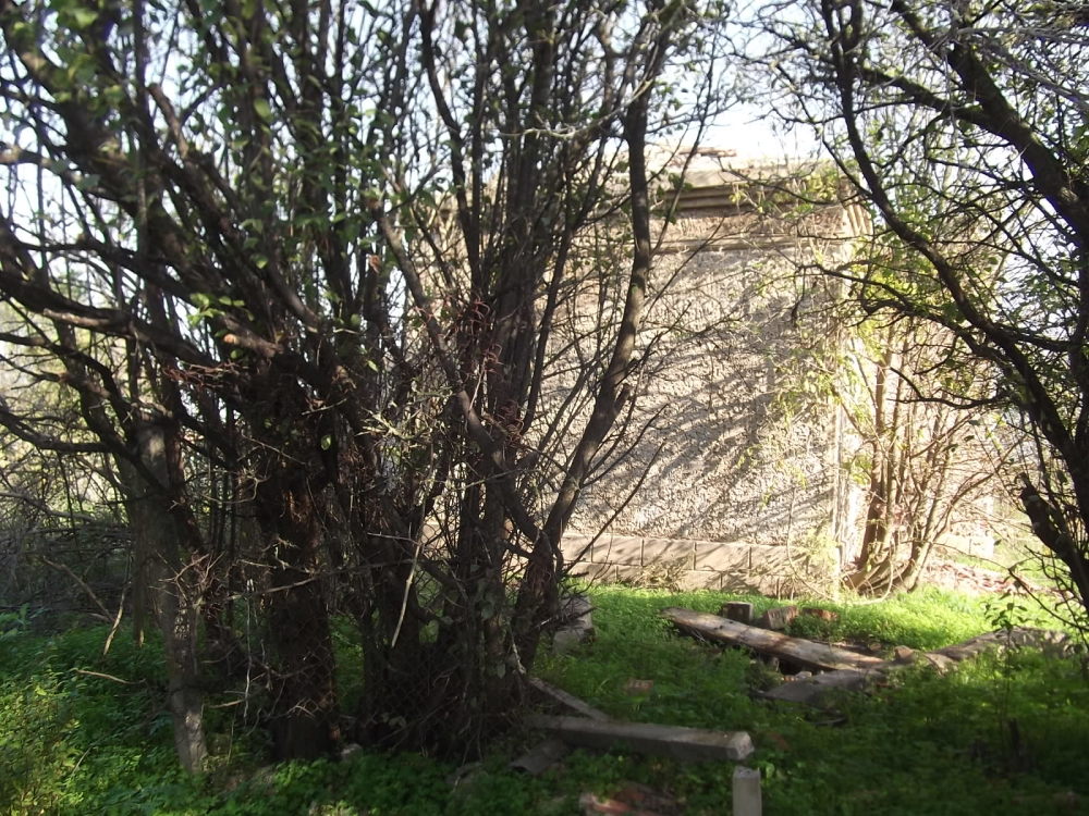 Парцел с къща - с. Пчеларово, Добрич – photo 3