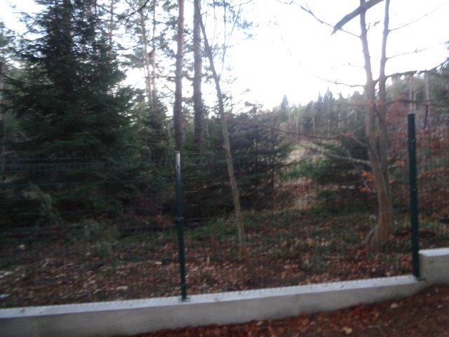 Парцел - гр. Батак, Пазарджик – photo 3