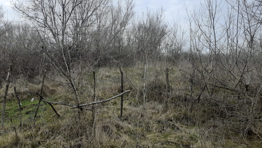 Парцел - гр. Царево, Бургас – ЧСИ – photo 8