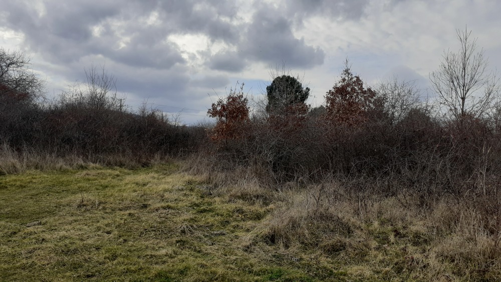 Парцел - гр. Царево, Бургас – ЧСИ – photo 4