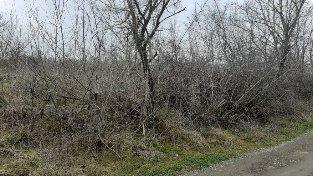 Парцел - гр. Царево, Бургас – ЧСИ – photo 9