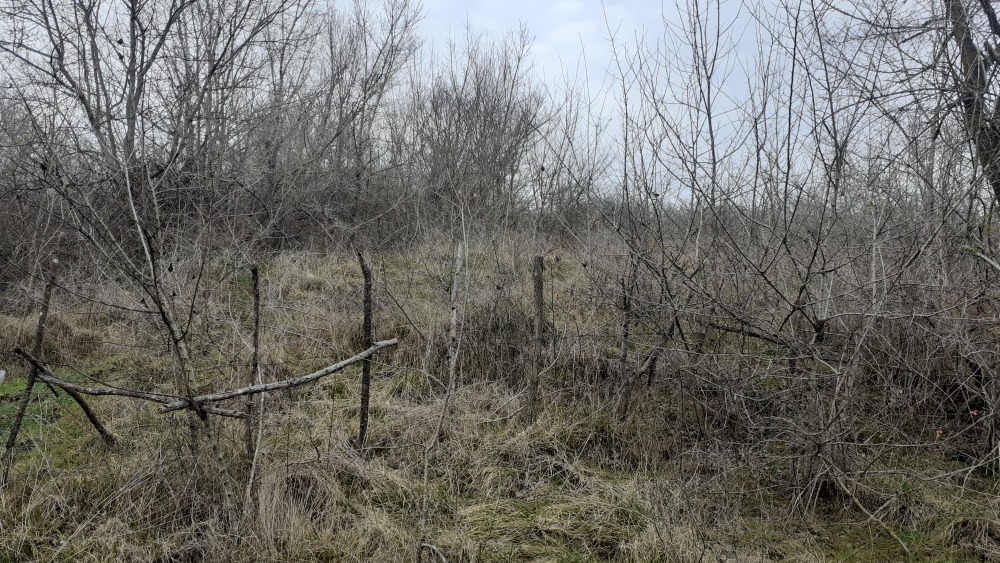 Парцел - гр. Царево, Бургас – ЧСИ – photo 7