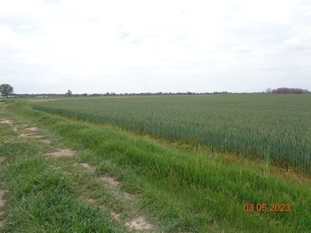 Земеделска земя - с. Труд, Пловдив – photo 3
