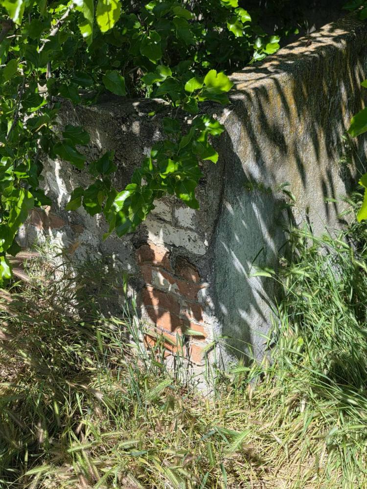 Други - с. Долна Студена, Русе – ЧСИ – photo 3
