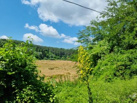 Парцел - с. Каран Върбовка, Русе – ЧСИ – photo 3