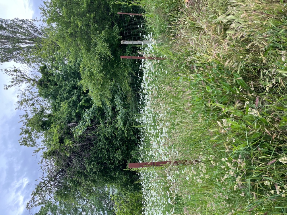 Парцел - гр. Варна, Варна – ЧСИ – photo 8