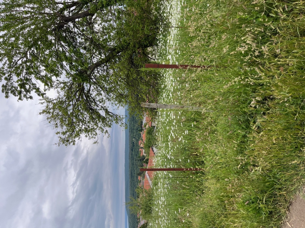 Парцел - гр. Варна, Варна – ЧСИ – photo 7