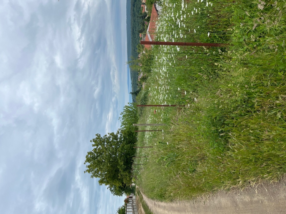 Парцел - гр. Варна, Варна – ЧСИ – photo 9