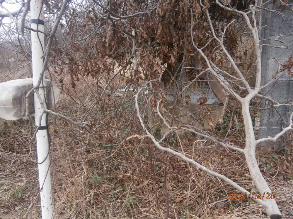 Парцел - с. Старопатица, Видин – photo 3