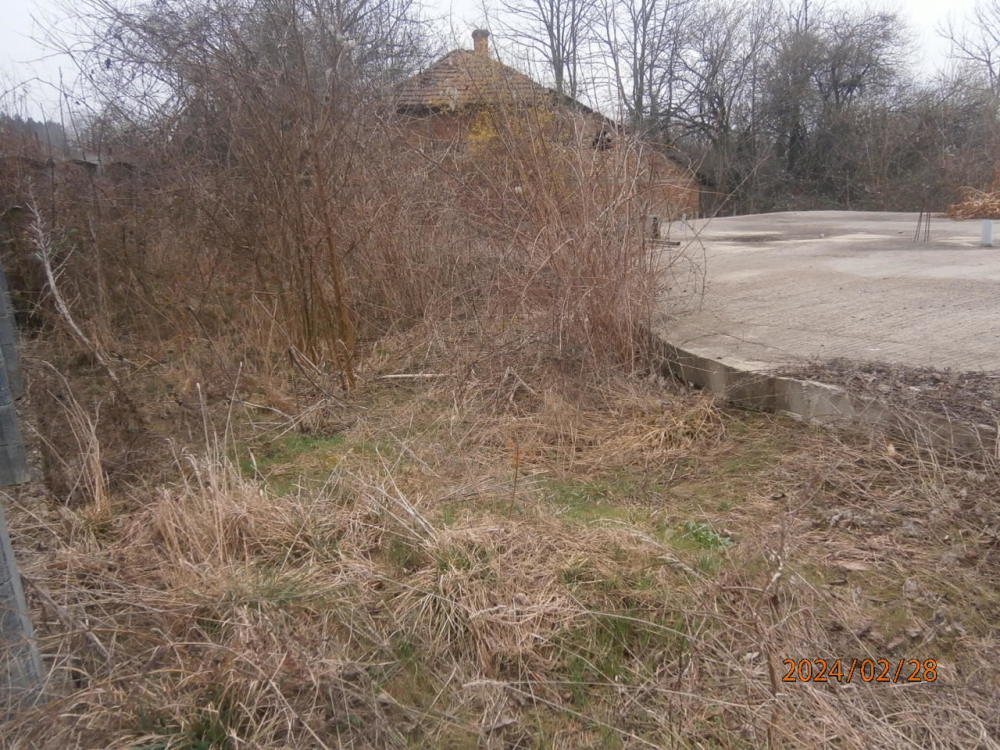Парцел - с. Старопатица, Видин – photo 4