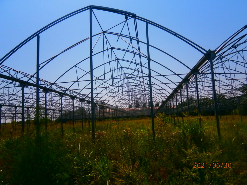 Земеделски имот - гр. Видин, Видин – photo 5