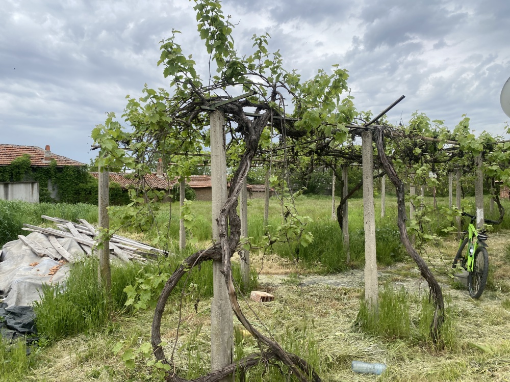 Парцел с къща - с. Царимир, Пловдив – photo 4