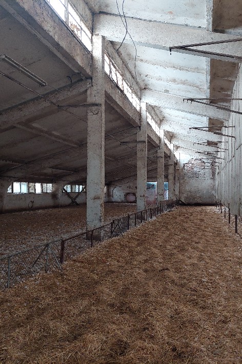 Парцел - гр. Брезово, Пловдив – ЧСИ – photo 3