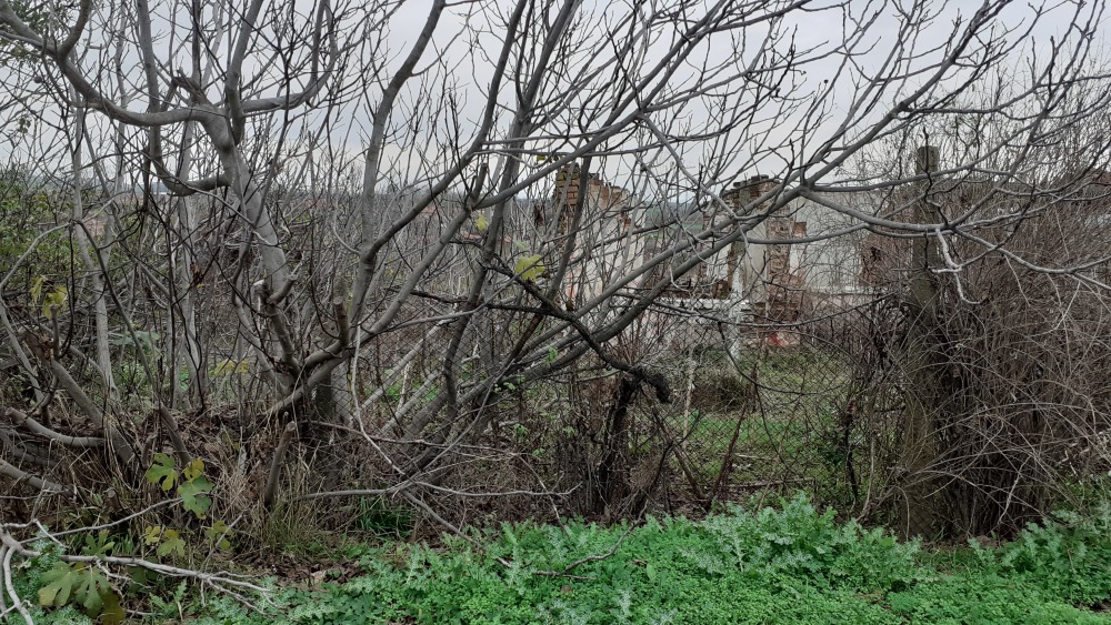 Парцел - с. Кръстина, Бургас – ЧСИ