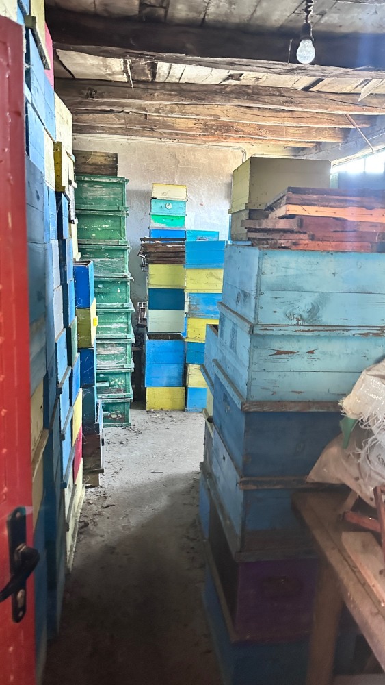 Парцел с къща - с. Голям извор, Разград – ЧСИ – photo 15