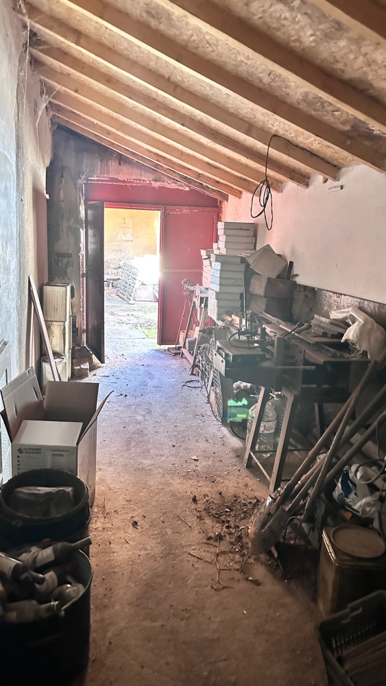 Парцел с къща - с. Голям извор, Разград – ЧСИ – photo 13
