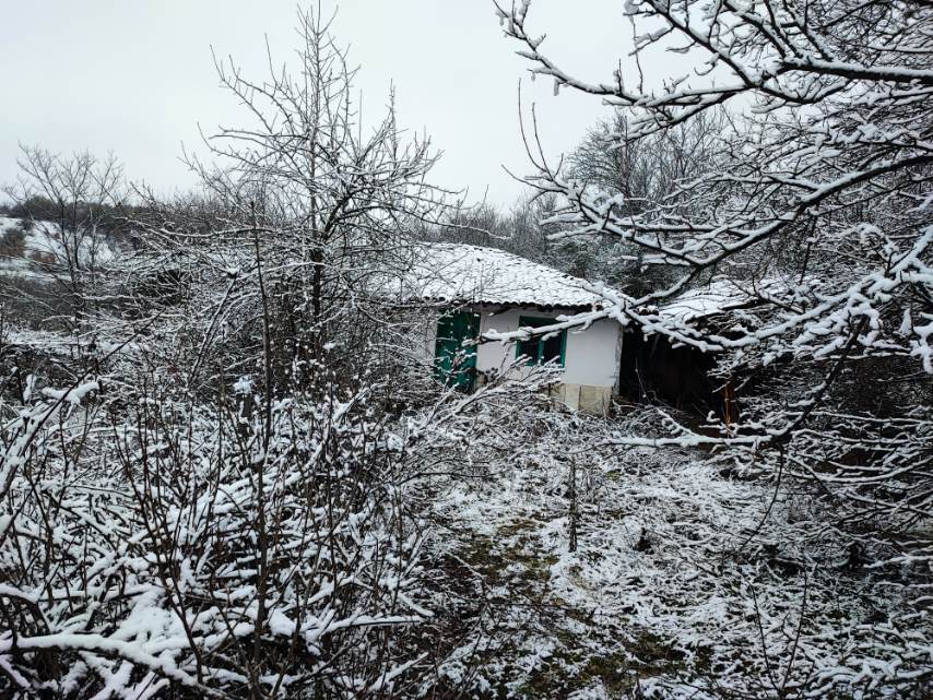 Парцел с къща - с. Горна Василица, София окръг – ЧСИ