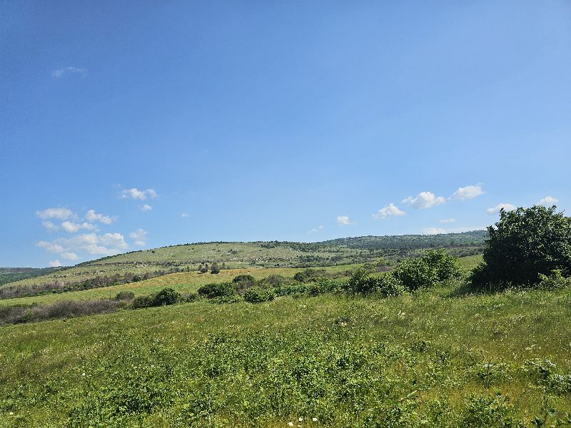 Земеделска земя - с. Богьовци, София окръг – ЧСИ – photo 3