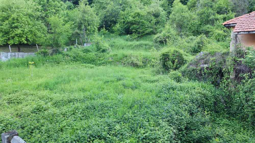 Къща - с. Балканец, Ловеч – ЧСИ – photo 15