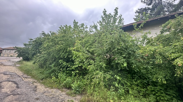 Парцел с къща - с. Дряновец, Разград – photo 23