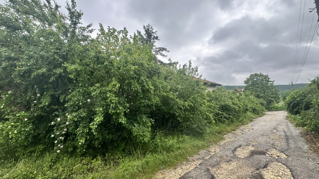 Парцел с къща - с. Дряновец, Разград – photo 22