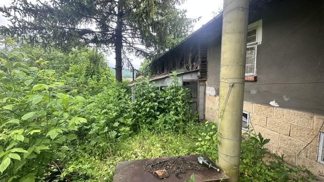 Парцел с къща - с. Дряновец, Разград – photo 5