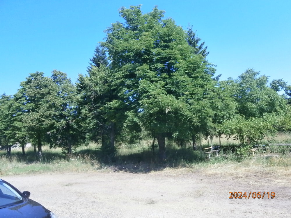 Производствен имот - гр. Кула, Видин – photo 22