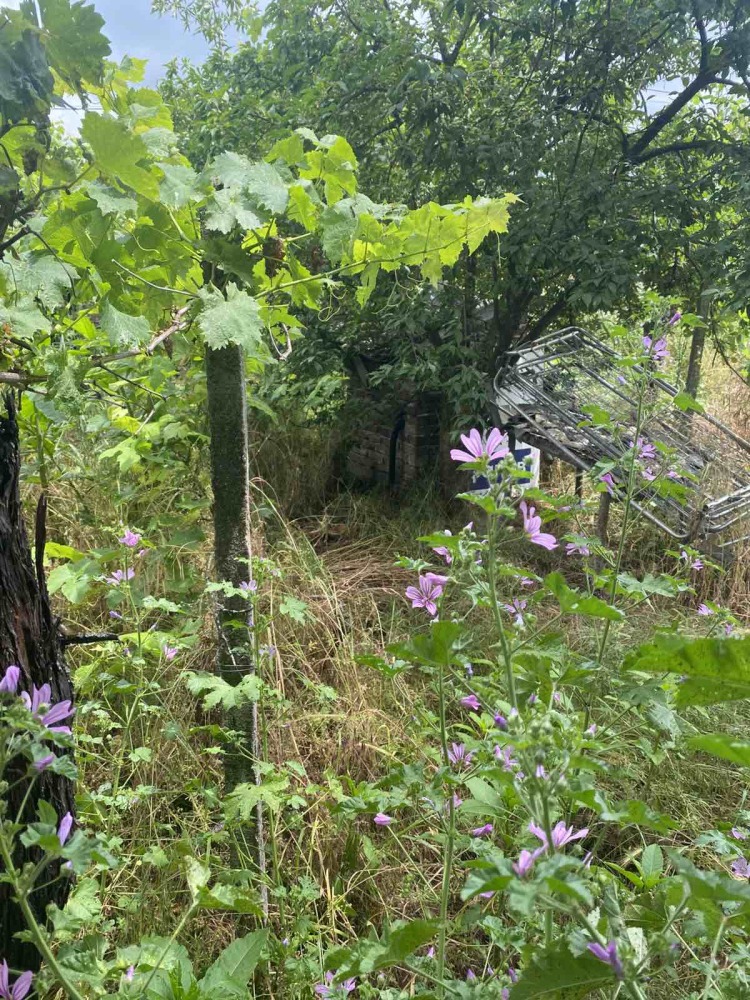 Парцел с къща - с. Динк, Пловдив – photo 4