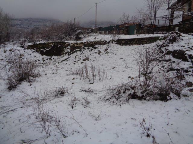 Парцел - с. Паталеница, Пазарджик – photo 10
