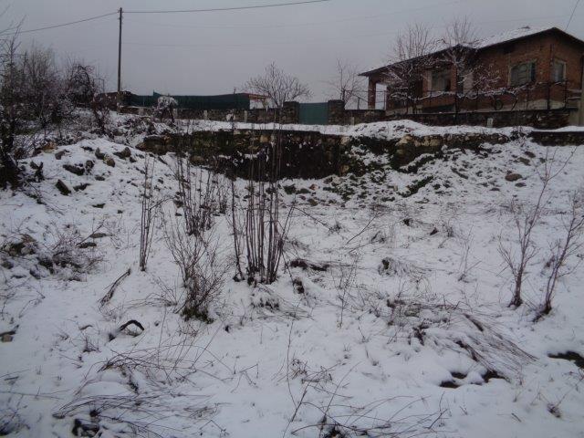 Парцел - с. Паталеница, Пазарджик – photo 5